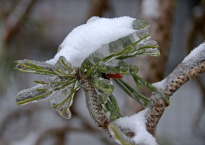 Вот так было в Нижнем в ноябре 2022-го, помните?