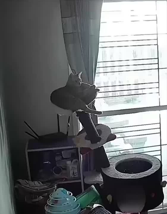 Держались из последних сил