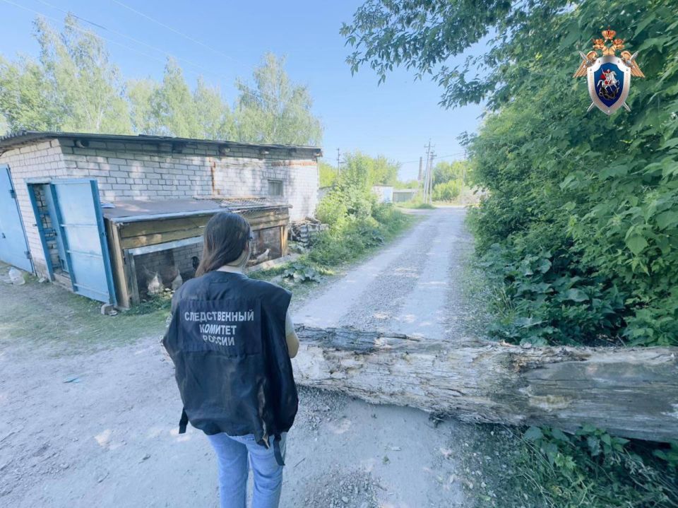 В Нижегородской области направлено в суд уголовное дело по факту гибели мужчины в результате падения на него дерева