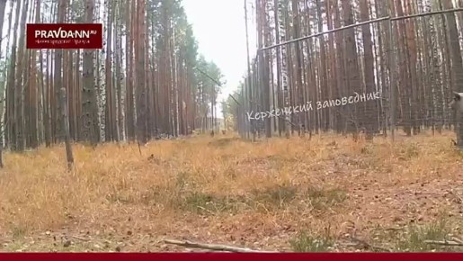 Природа не перестает удивлять!