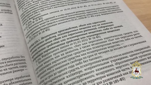 Нижегородец, хранивший в носках наркотические средства, задержан наркополицейскими на Южном шоссе