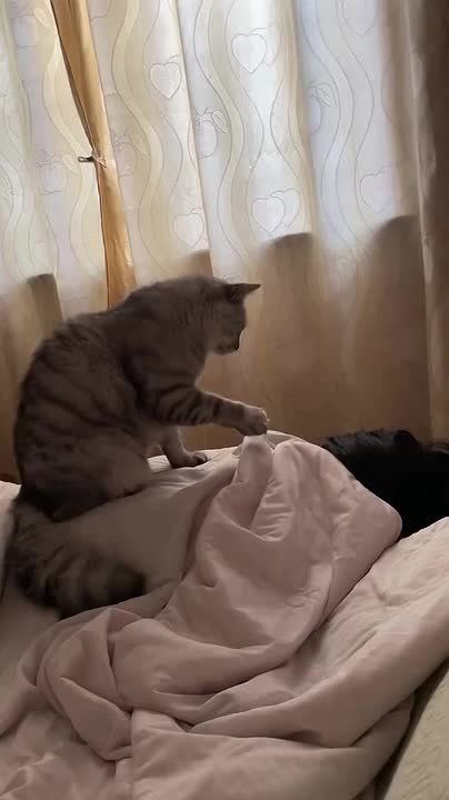 Подъем! Пора начинать день