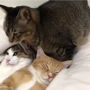 Очень важно найти свое место