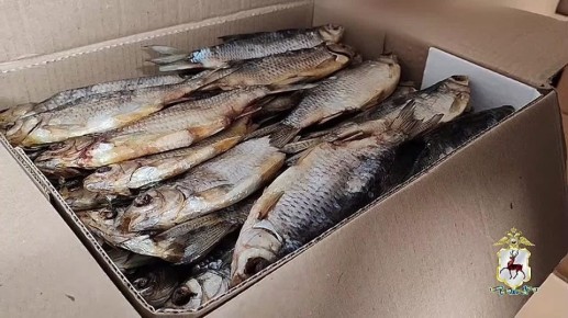 Немаркированную рыбу стоимостью более 3,5 млн рублей изъяли в Нижегородской области