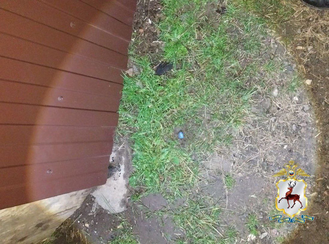 Полицейские задержали наркосбытчика в посёлке Малиновая гряда Полицейские задержали наркосбытчика в посёлке Малиновая гряда