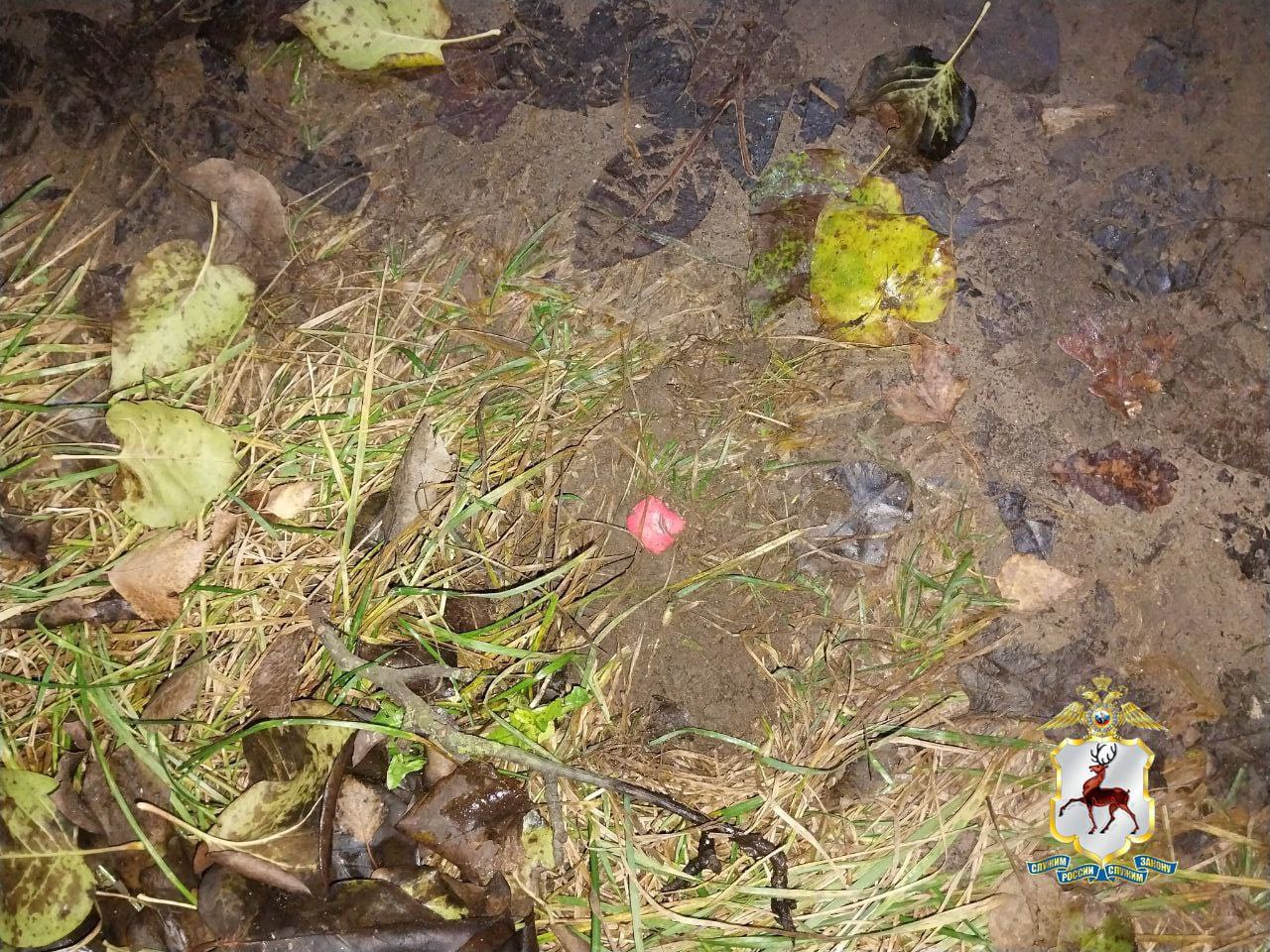 Полицейские задержали наркосбытчика в посёлке Малиновая гряда Полицейские задержали наркосбытчика в посёлке Малиновая гряда