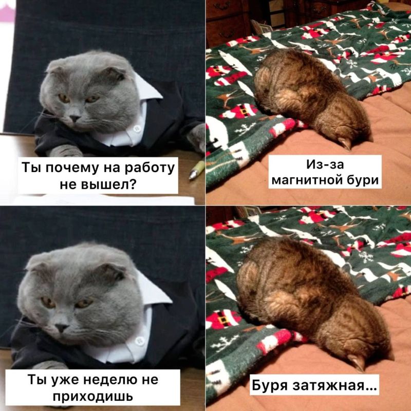 Метеозависимые, как вы там?