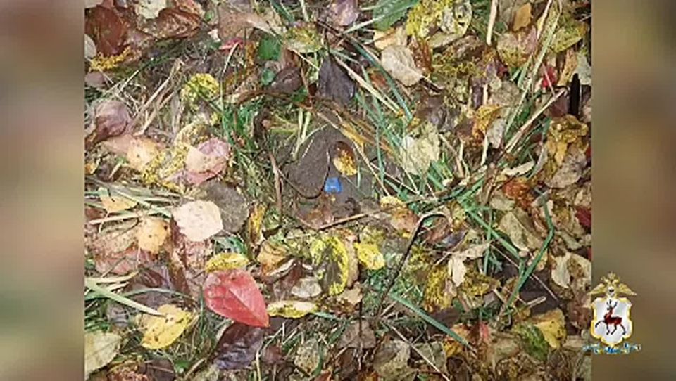 Полицейские задержали наркосбытчика в посёлке Малиновая гряда