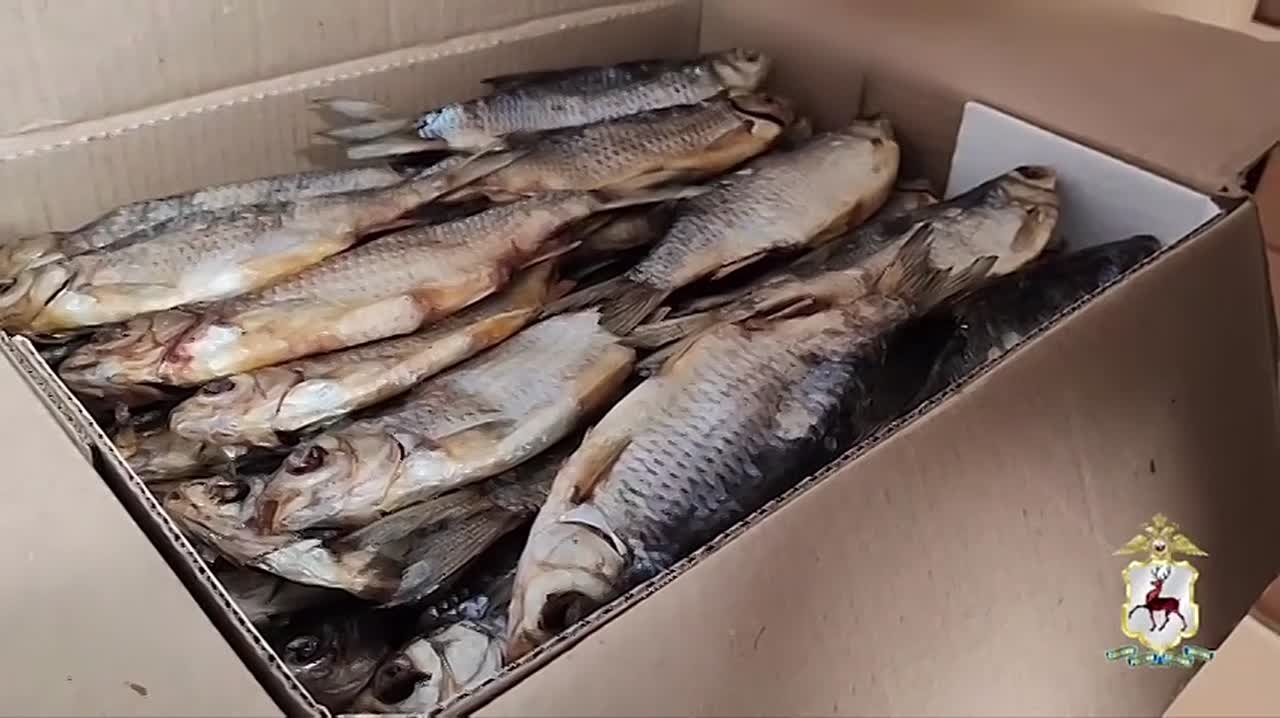 Почти семь тонн немаркированной вяленой рыбы изъяли полицейские у жителя Чкаловска