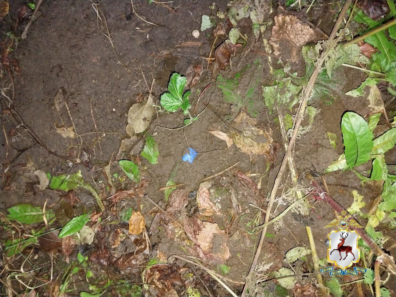 Полицейские задержали наркосбытчика в посёлке Малиновая гряда Полицейские задержали наркосбытчика в посёлке Малиновая гряда