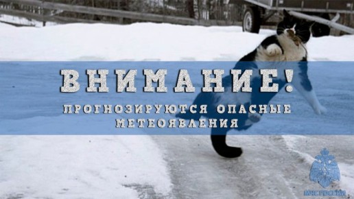 И снова непогода. В ближайшие 1-2 часа 14 ноября 2025 года с сохранением ночью и утром 15 ноября местами по Нижегородской области ожидается усиление юго-западного, западного ветра порывами 15-20 м/с