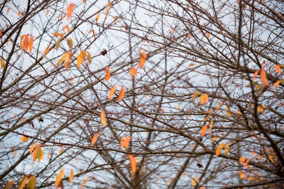 Сегодня в Нижнем Новгороде дождливо и пасмурно