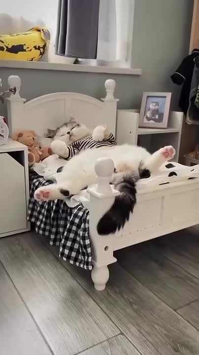 Хватит на сегодня! Пора и отдохнуть