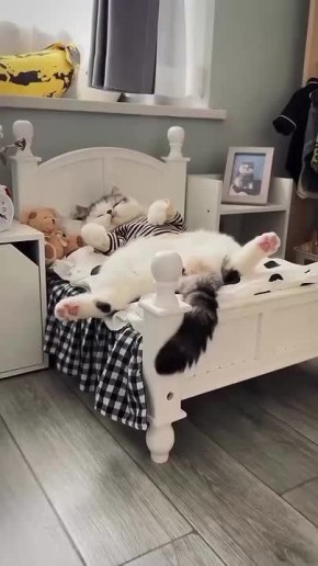 Хватит на сегодня! Пора и отдохнуть