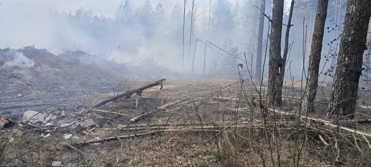 Нелегальная свалка загорелась сегодня на пересечении улицы Федосеенко и Московского шоссе