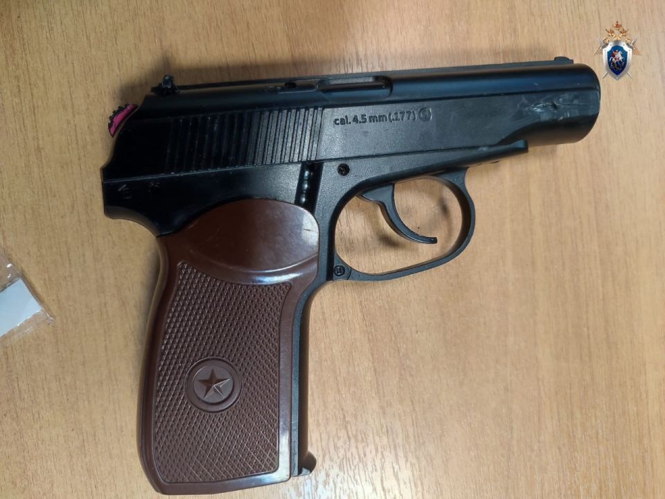 В Нижнем Новгороде перед судом престали пятеро жителей региона, обвиняемые в хулиганстве