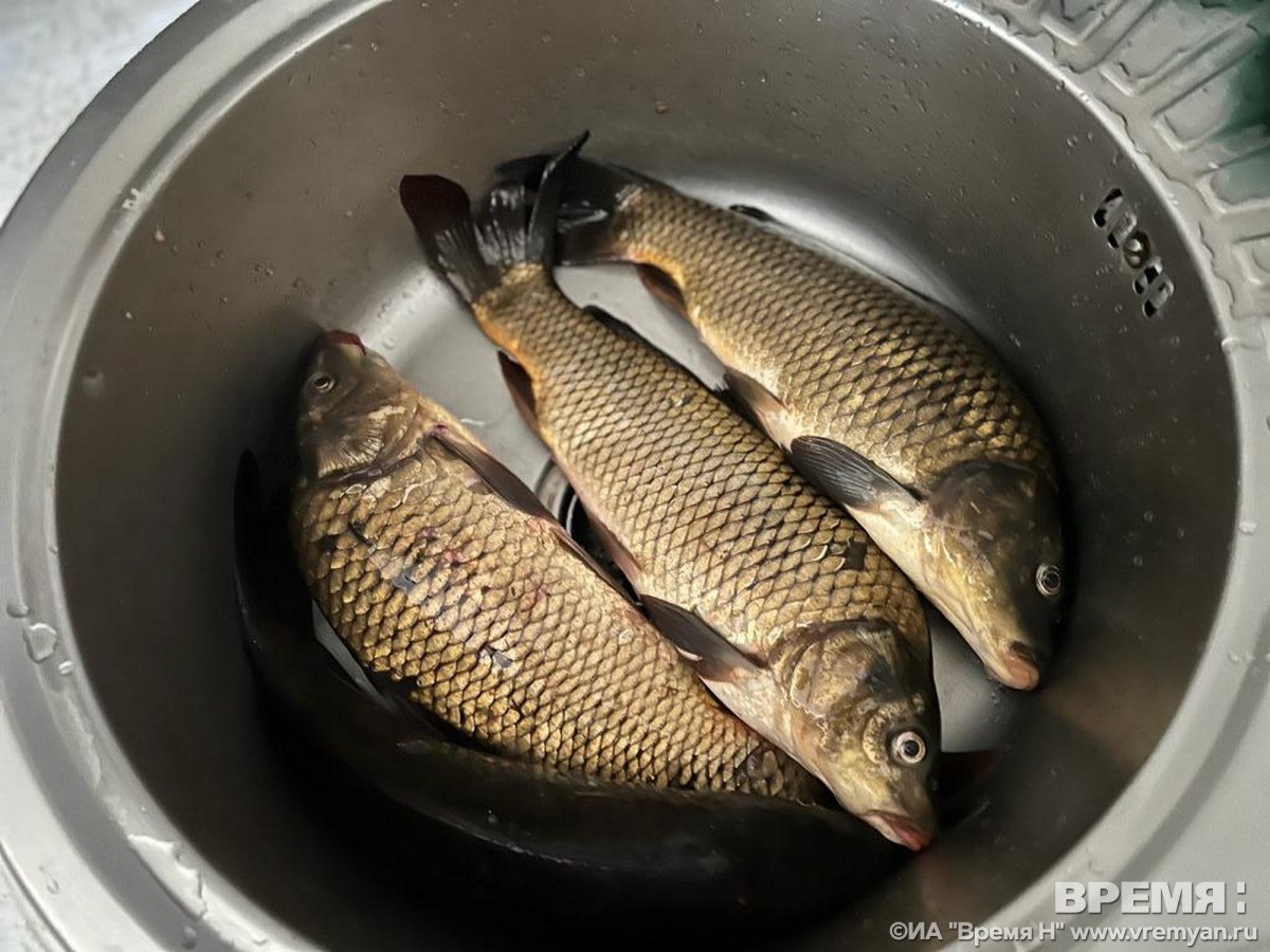 Нижегородцам стоит приобрести рыбу к Новому году заранее