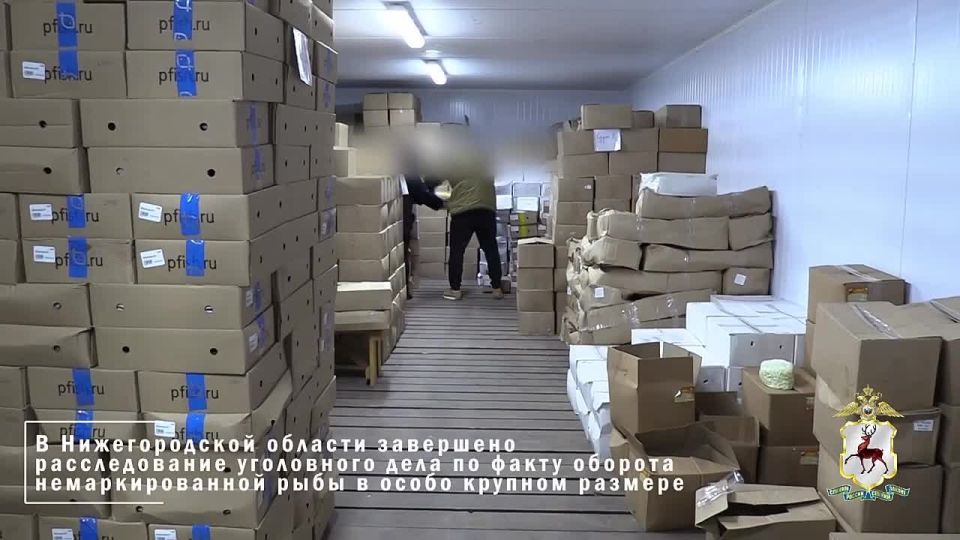 Выявленный полицией торговец немаркированной вяленой рыбой ожидает суда в Нижегородской области