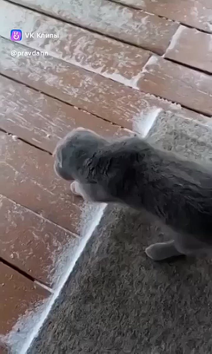 Ну что, друзья, вот и зима! В выходные нижегородцам обещают снег и мороз до -4