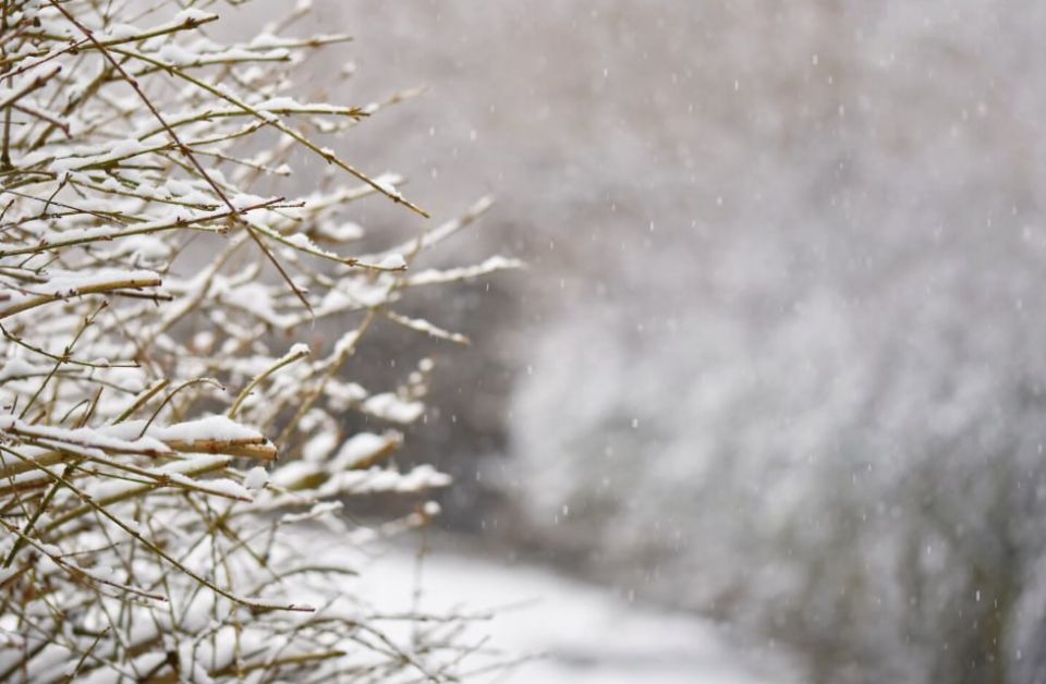 Первый снег ожидается в Нижегородской области