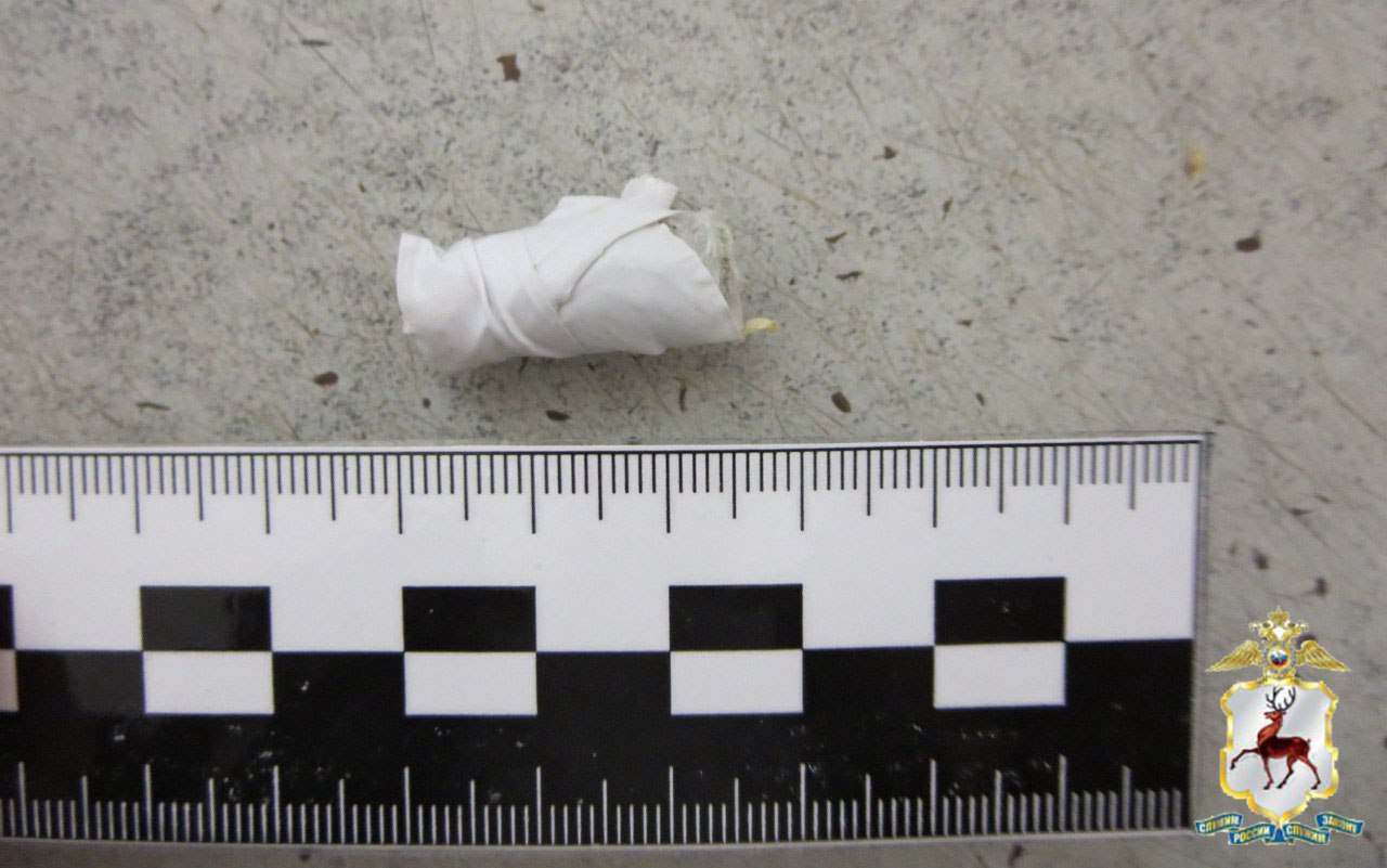 Дзержинские полицейские пресекли попытку передачи запрещённого вещества в головке чеснока Дзержинские полицейские пресекли попытку передачи запрещённого вещества в головке чеснока