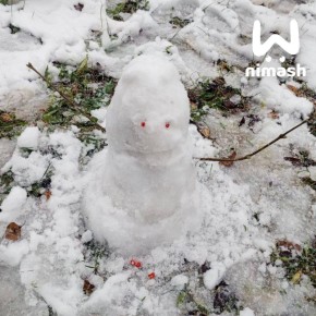 Снежные экспонаты появились во дворах Нижнего