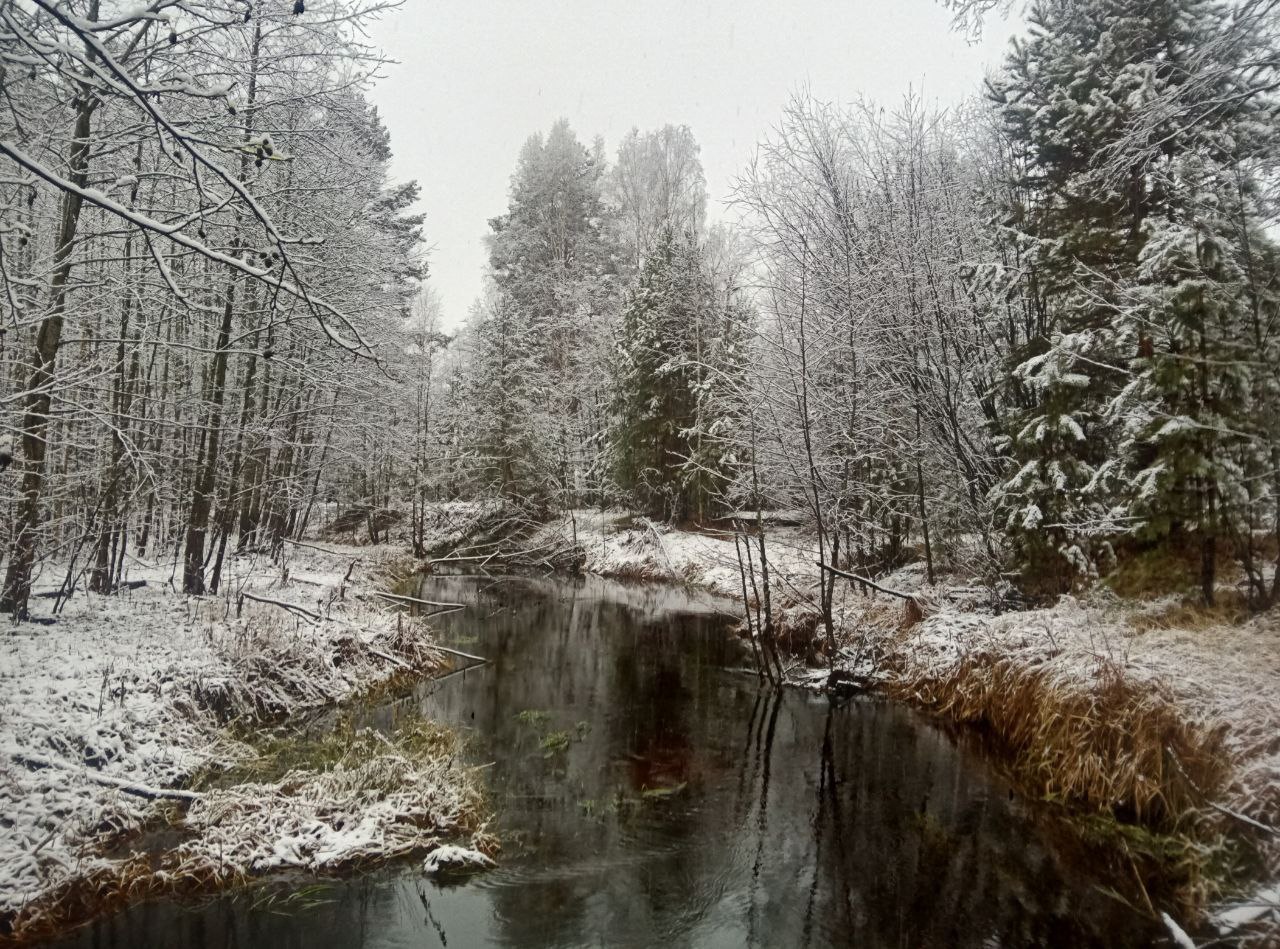 С первым снегом!. В Нижегородской области выпал первый снег С первым снегом!. В Нижегородской области выпал первый снег