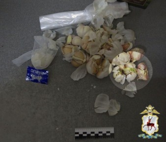 Дзержинские полицейские пресекли попытку передачи запрещённого вещества в головке чеснока
