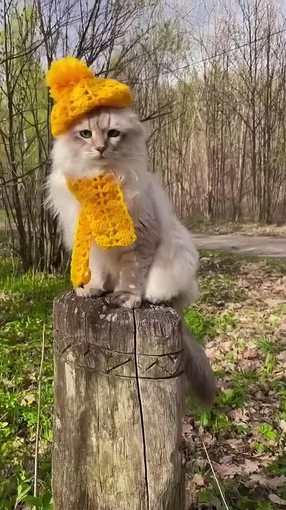 Доброе утро! И хороших выходных!