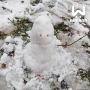 Снежные экспонаты появились во дворах Нижнего