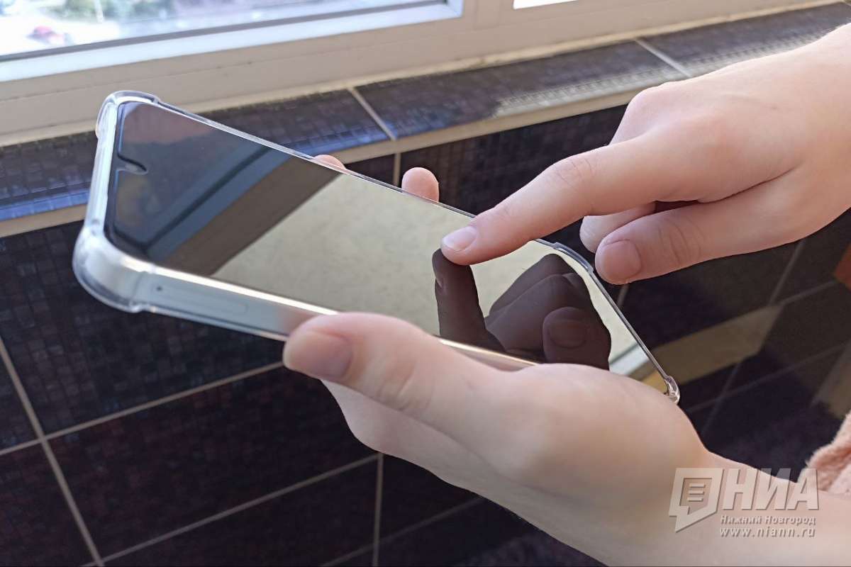 Еще несколько сайтов будут доступны нижегородцам при отключении интернета