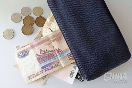 Прожиточный минимум поднимут в Нижегородской области в 2026 году