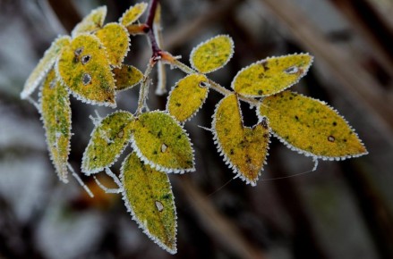 В воскресенье в Нижнем Новгороде будет холодно