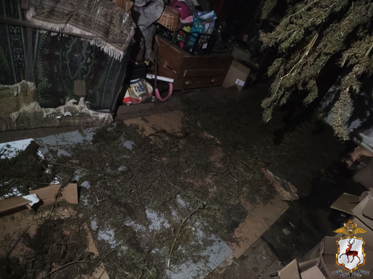 В Арзамасе задержан потребитель синтетического наркотика: его показания помогли обнаружить крупную партию растительного «зелья» В Арзамасе задержан потребитель синтетического наркотика: его показания помогли обнаружить крупную партию растительного «зелья»