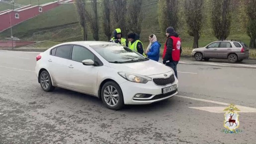 В Нижнем Новгороде сотрудники ГАИ, общественники и студенты вспомнили жертв ДТП, зажгли свечи и запустили в небо белые воздушные шары