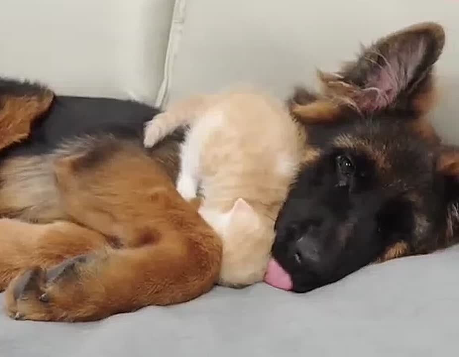 Вот и прошел понедельник