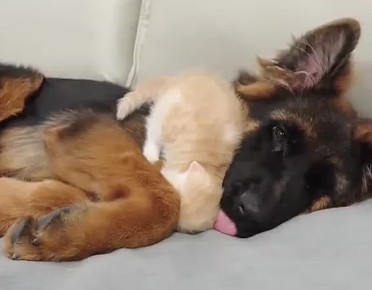 Вот и прошел понедельник