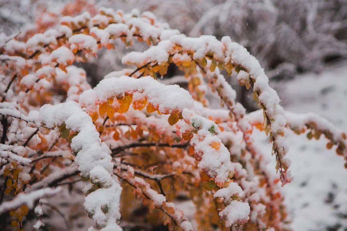 Вот такие чудесные, почти сказочные выходные подарила нам погода Вот такие чудесные, почти сказочные выходные подарила нам погода