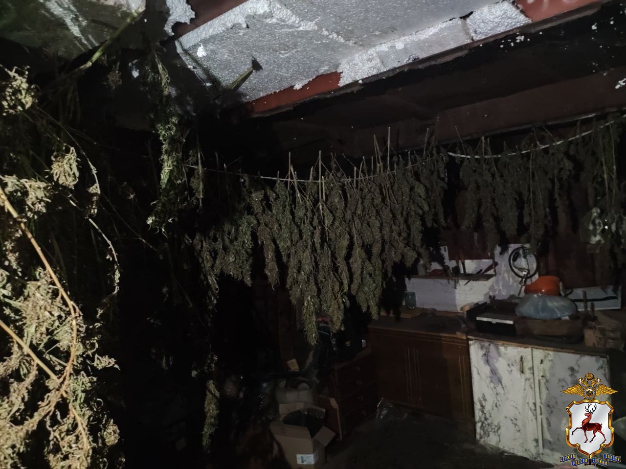 В Арзамасе задержан потребитель синтетического наркотика: его показания помогли обнаружить крупную партию растительного «зелья» В Арзамасе задержан потребитель синтетического наркотика: его показания помогли обнаружить крупную партию растительного «зелья»