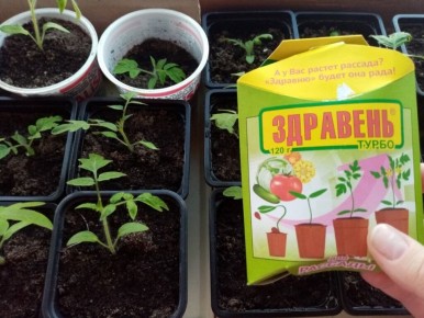 Комплексные удобрения для рассады: секреты здорового роста