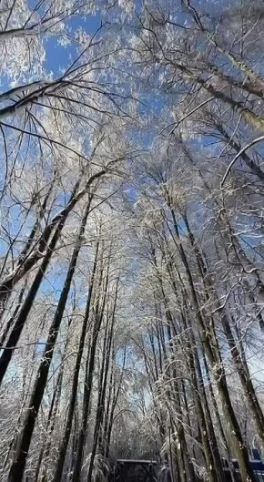 Сегодня отмечается Международный день белки, или День защиты белок