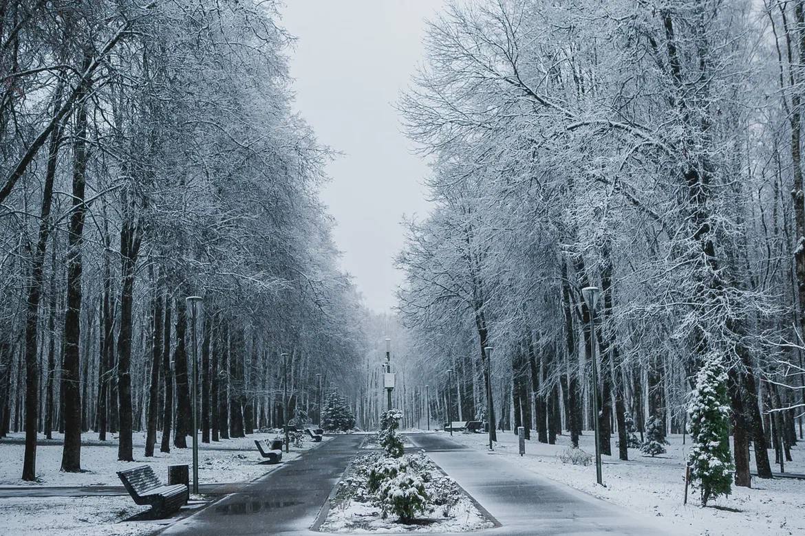 Вот такие чудесные, почти сказочные выходные подарила нам погода Вот такие чудесные, почти сказочные выходные подарила нам погода