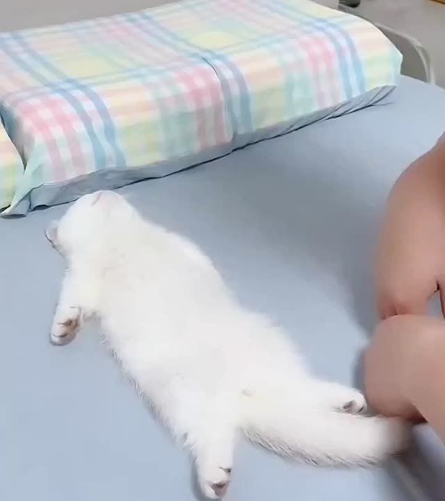 Доброе утро!. Если вы тоже сегодня поднялись и снова легли спать – вы не одиноки… Прислать новость Главные новости региона: Telegram | MAX