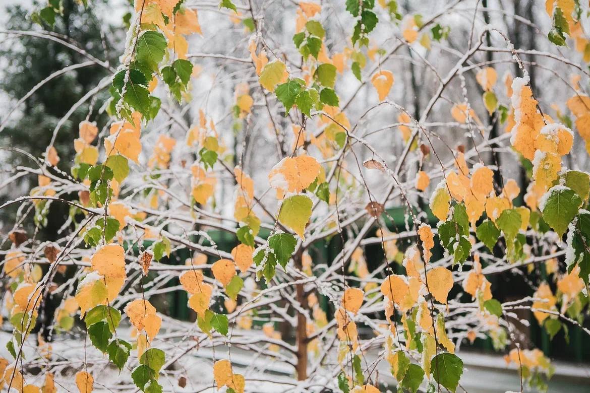 Вот такие чудесные, почти сказочные выходные подарила нам погода Вот такие чудесные, почти сказочные выходные подарила нам погода