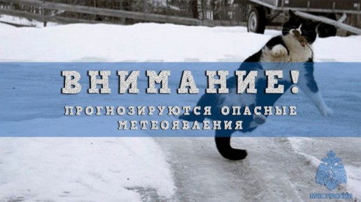НЕПОГОДА!. В ближайшие 1-3 часа местами по Нижегородской области и Нижнему Новгороду ожидается усиление юго западного ветра порывами 15-19 м/с с сохранением ночью и днем 19 ноября