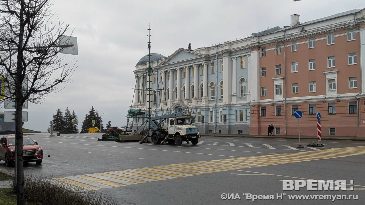Новогоднюю ель начали монтировать на площади Минина и Пожарского