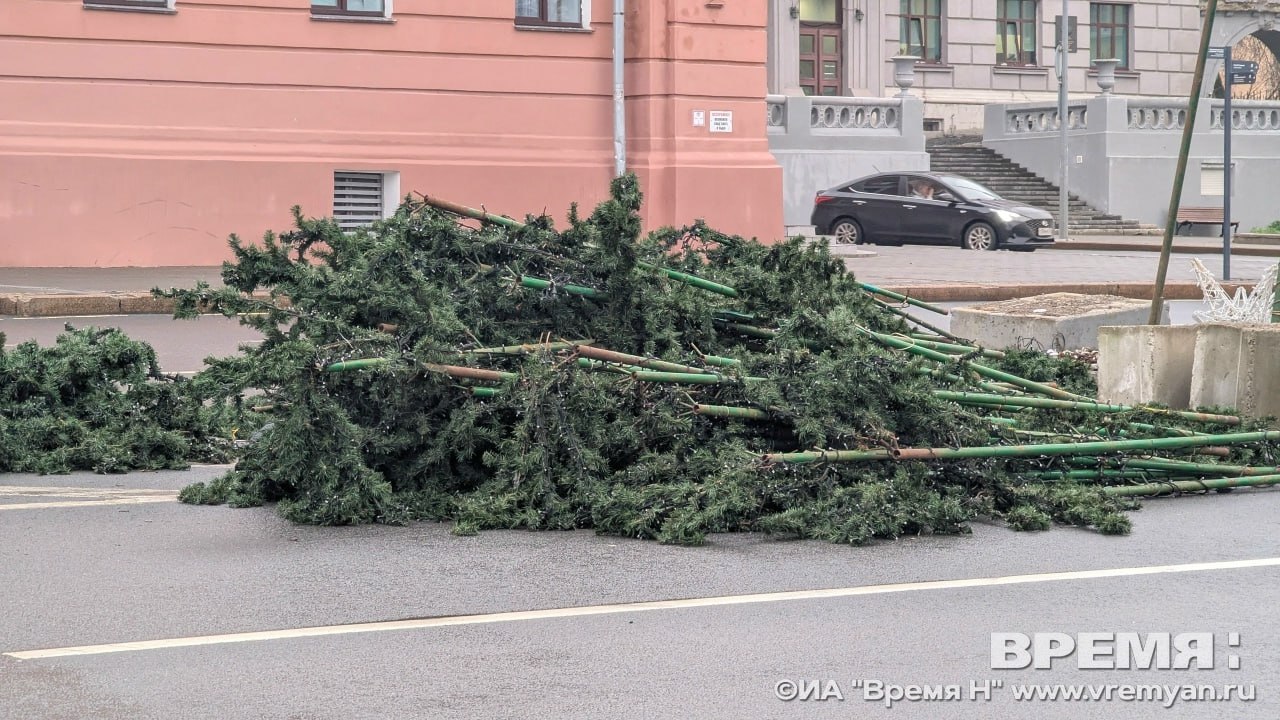 Новогоднюю ель начали монтировать на площади Минина и Пожарского Новогоднюю ель начали монтировать на площади Минина и Пожарского