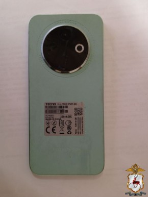 В Шахунье сотрудники уголовного розыска задержали подозреваемую в краже мобильного телефона