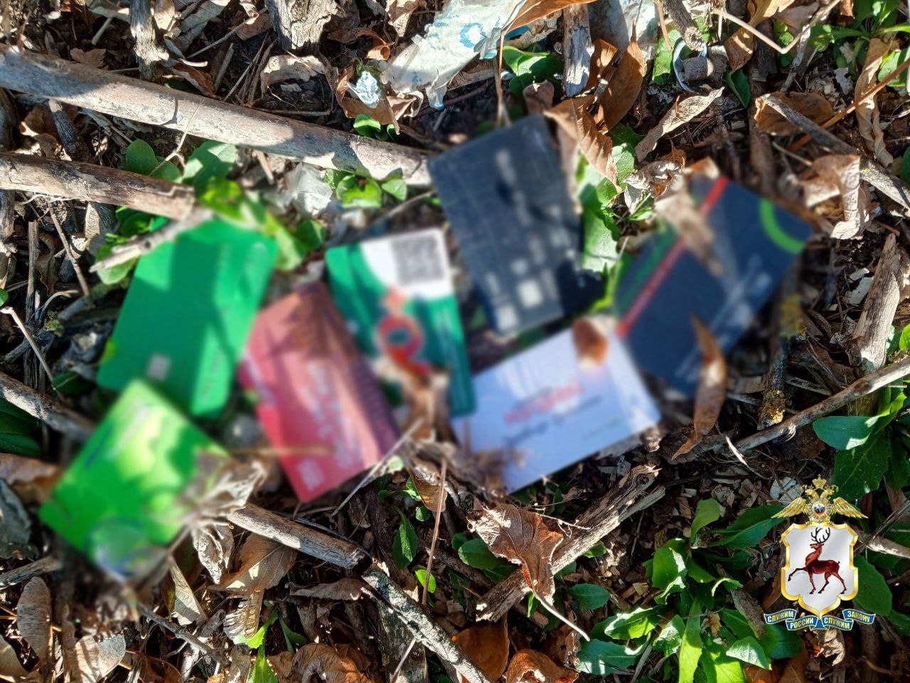 Карманница, орудовавшая в Нижнем Новгороде задержана оперативниками Карманница, орудовавшая в Нижнем Новгороде задержана оперативниками