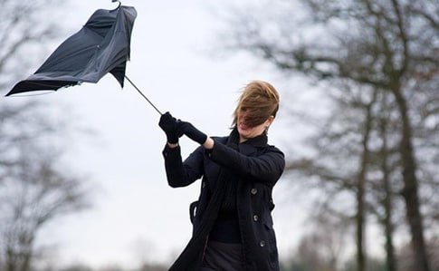 Сильный ветер с порывами до 15-19 м/с ожидается местами по Нижегородской области сегодня, а также ночью и днем 19 ноября, сообщили в ГУ МЧС